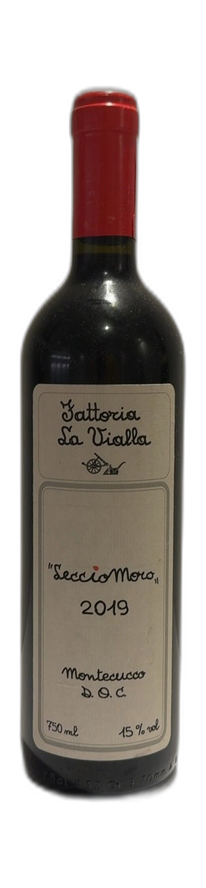LeccioMoro
