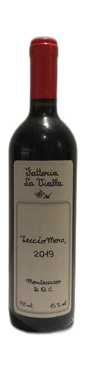 LeccioMoro