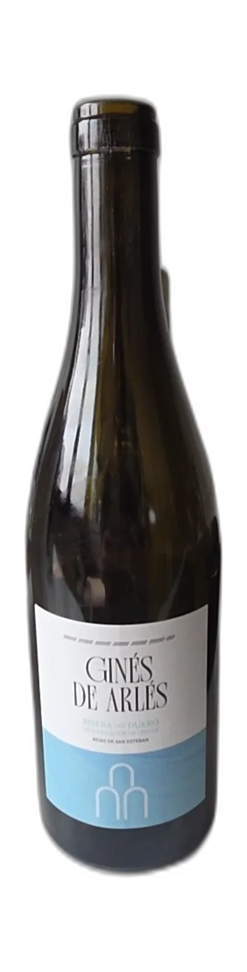 Ginés de Arlés