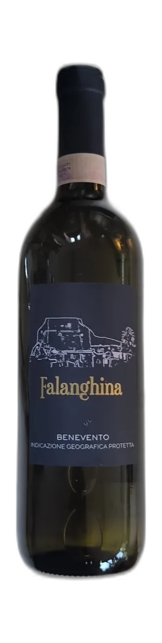 Falanghina Benevento