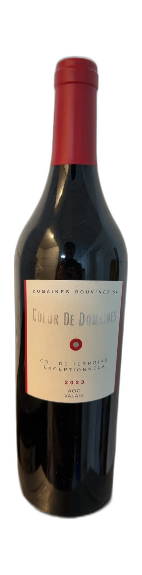 Coeur de Domaines