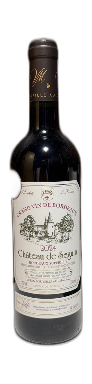 Château de Seguin