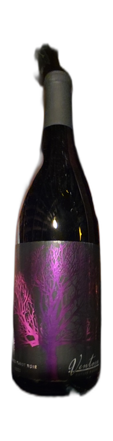 Knocked Pinot Noir
