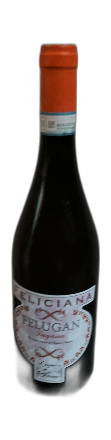 Felugan