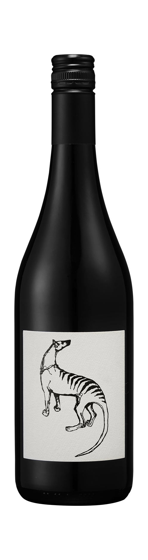 Saltwater Pinot Noir