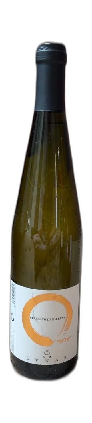 Stregato dalla Luna