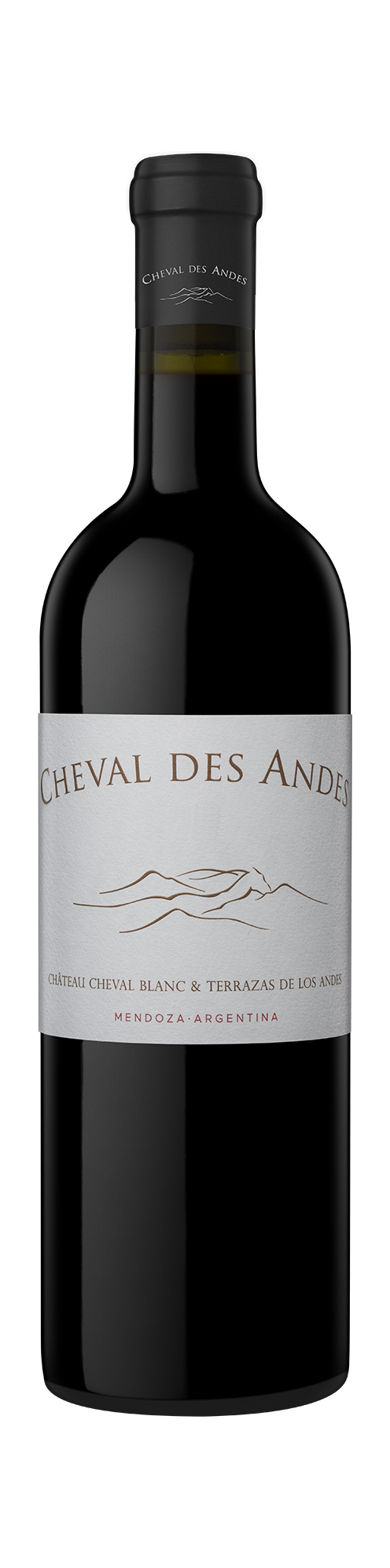 Cheval des Andes