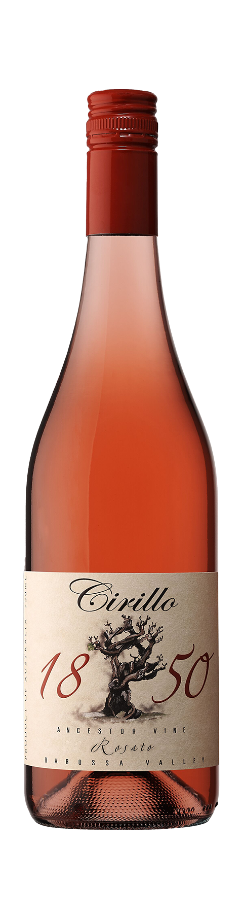 Ancestor Vine Rosato 1850