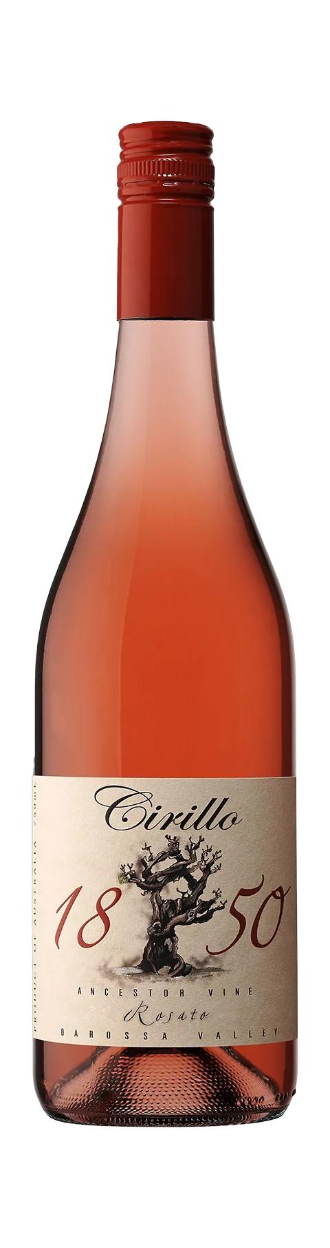 Ancestor Vine Rosato 1850