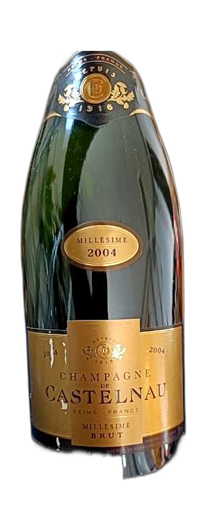 Champagne de Castelnau Millésimé Brut